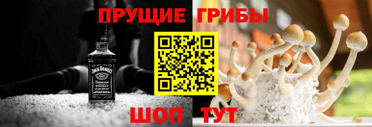 Галлюциногенные грибы мухоморы Новокубанск
